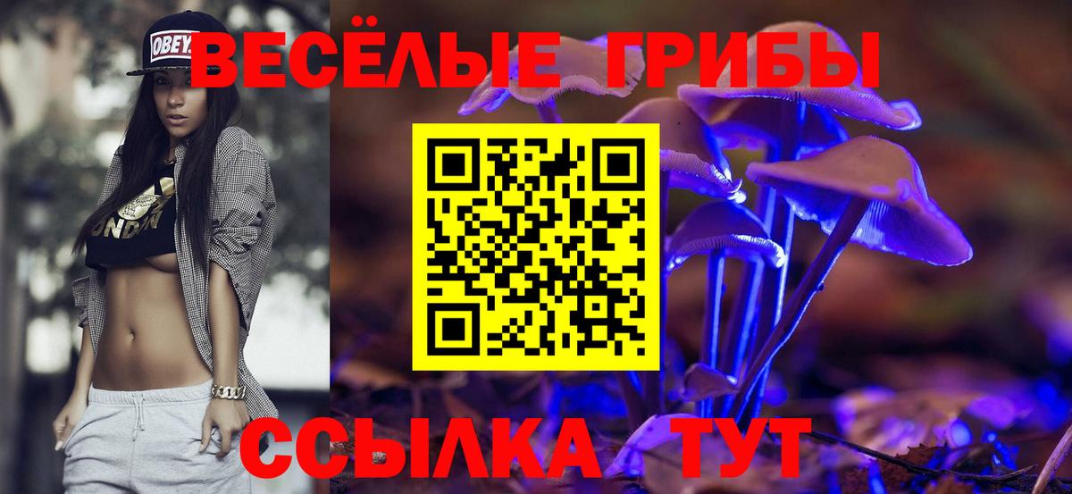 Псилоцибиновые грибы Magic Shrooms Ефремов