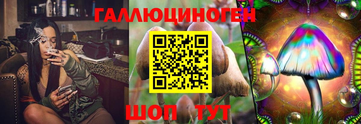 Галлюциногенные грибы Magic Shrooms  купить наркотики сайты  Ефремов 