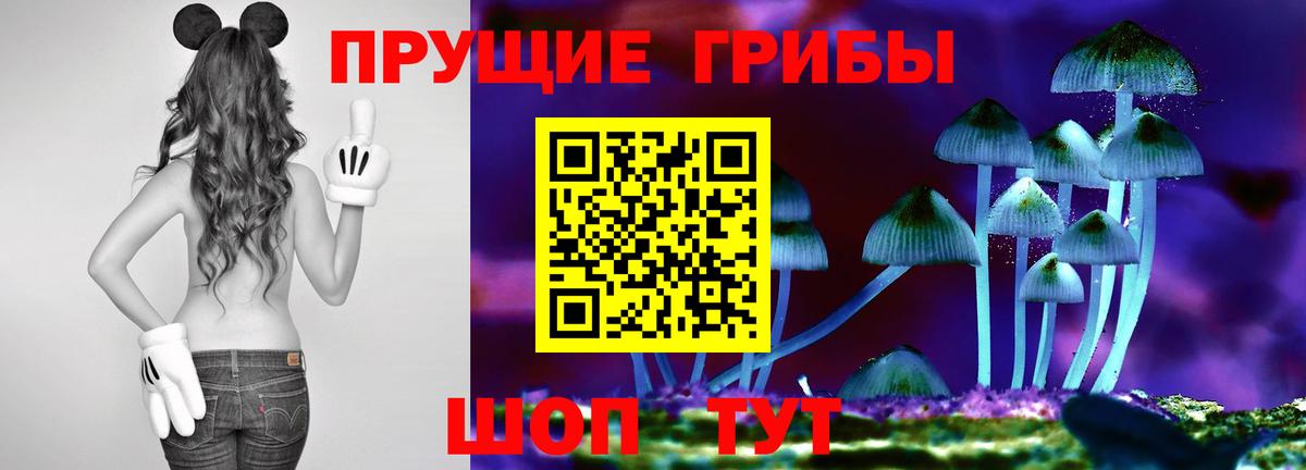 Псилоцибиновые грибы Cubensis Ефремов